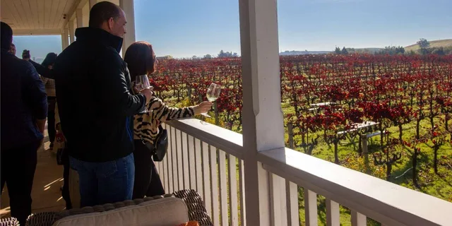 San Francisco Napa & Sonoma Wine Tour - Image 3