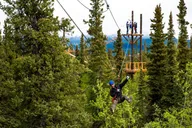Denali Zipline and Brewpub Visit Half-Day Adventure thumbnail 6