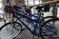 Houston Brewery Bike Tour thumbnail 6