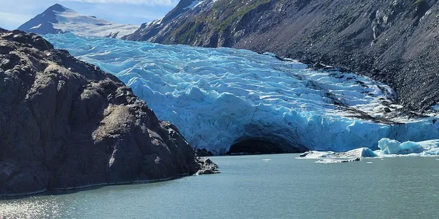 Anchorage Portage Glacier Cruise and Wildlife Explorer - Image 6