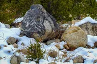 Rocky Mountain National Park Geology Tour thumbnail 6