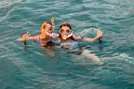 Waikiki Whale Watching Cruise thumbnail 6