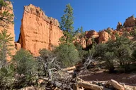Utah Horseback Ride Half Day thumbnail 3