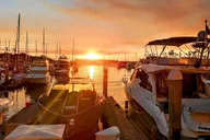Marina del Rey Scenic Wildlife Boat Cruise thumbnail 5