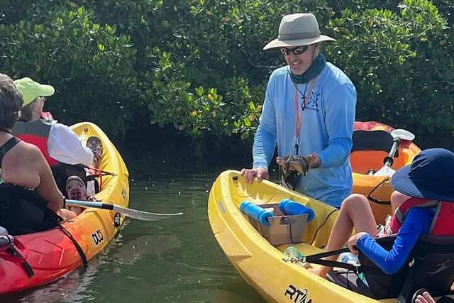 Don Pedro Island Kayak Eco Tour - Image 1