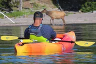 Yellowstone Lake Kayak Tour with Lunch 4 hr thumbnail 5
