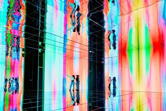 Houston Immersive Museum Tour - Image 3