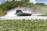 Miami Everglades Airboat Ride and Gator Encounter thumbnail 2