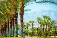 Palm Springs and Joshua Tree Self-Guided Audio Tour thumbnail 1