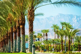 Palm Springs and Joshua Tree Self-Guided Audio Tour