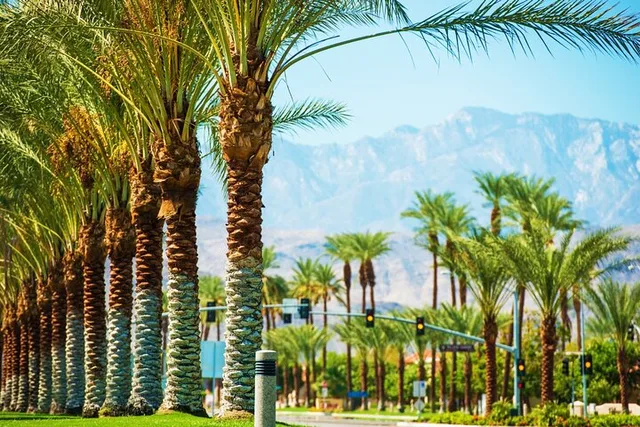 Palm Springs and Joshua Tree Self-Guided Audio Tour - Image 1