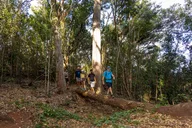 O'ahu Snorkel and Hike Adventure thumbnail 1