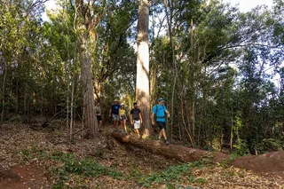 O'ahu Snorkel and Hike Adventure