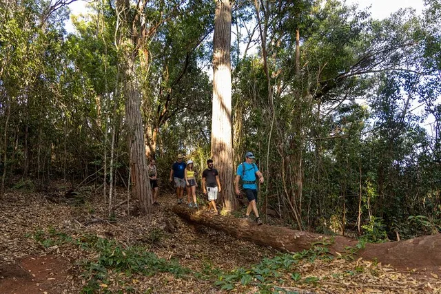 O'ahu Snorkel and Hike Adventure - Image 1