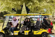 Tampa Christmas Lights Golf Cart Tour thumbnail 3