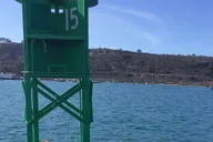San Diego Marine Wildlife Tour with Lunch thumbnail 5