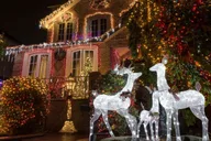 New York City Christmas Lights Tour thumbnail 4