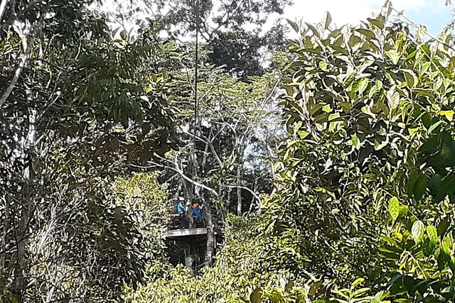 Belize Cave Kayaking, Ziplines, and Altun Ha Tour - Image 5