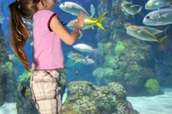 Denver Aquarium All-Day Pass thumbnail 2