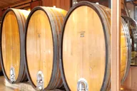 San Francisco Muir Woods Sausalito Sonoma Wine Tour thumbnail 1