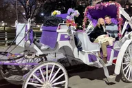 New York City Christmas Lights Horse Carriage Ride thumbnail 2