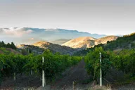 Amador County Wine Tasting Digital Passport thumbnail 3