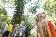 Kauai Huleia River Kayak & Hike Adventure thumbnail 5