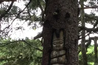 Juneau Taste of Alaska Tour thumbnail 1
