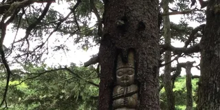 Juneau Taste of Alaska Tour