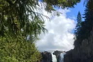Seattle Snoqualmie Falls Private Tour 2.5 hr thumbnail 2