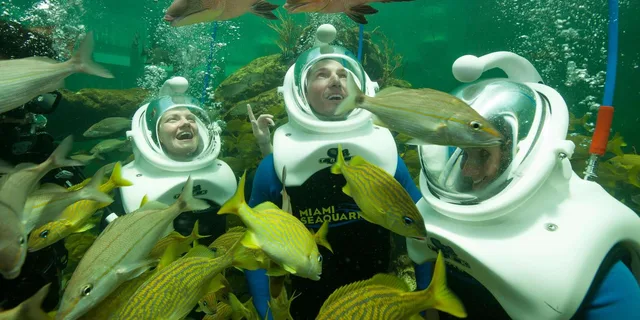 Miami Sightseeing Pass for 35+ Attractions - Image 6