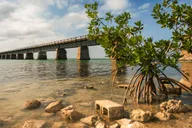 Fort Lauderdale Key West Day Trip thumbnail 2