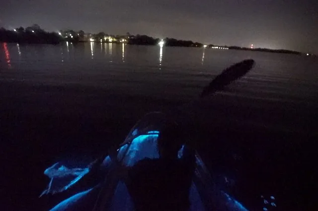 Merritt Island Clear Kayak Bioluminescence Tour 2 hr - Image 4