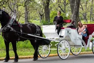 New York City Central Park Horse Carriage Ride thumbnail 1