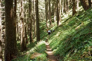 Seattle Mountain Biking Adventure
