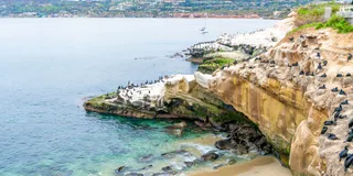 La Jolla Walking Tour: Sip, Savor & Sea 3 hr
