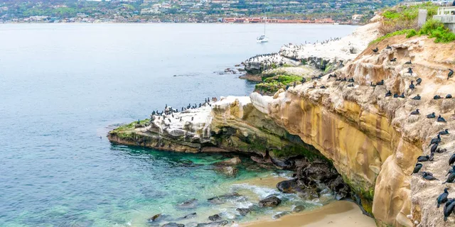 La Jolla Walking Tour: Sip, Savor & Sea 3 hr - Image 1