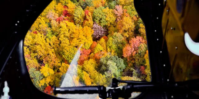 Pigeon Forge Helicopter Tour of Gatlinburg - Image 2