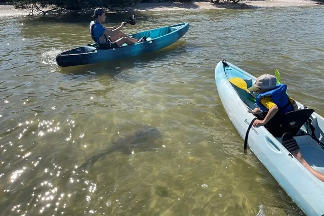 Florida Dolphin and Manatee Kayak Tour at Sunset 2 hr - Image 4