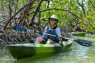 Naples Mangrove Kayak Tour with Biologist Guides thumbnail 2