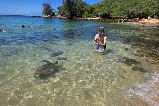 Oahu Circle Island Tour with Turtle Snorkeling - Image 1