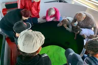 Long Beach Glass Bottom Boat Eco-Tour thumbnail 5