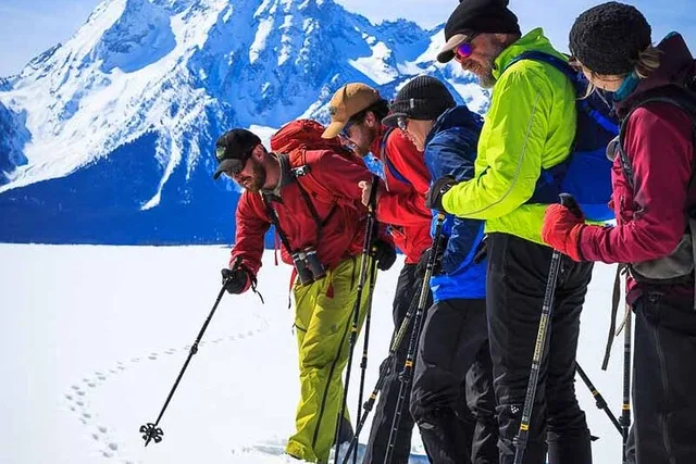 Jackson Snowshoe Tour in Grand Teton National Park 4 hr - Image 6