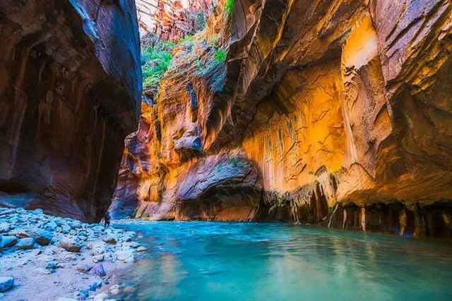 Utah National Parks Tour: Zion, Bryce, Canyonlands, Arches - Image 4