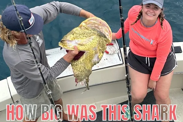 Key West Inshore Shark Fishing Experience - Image 2