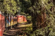 Fort Bragg Pudding Creek Train Ride thumbnail 1