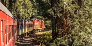 Fort Bragg Pudding Creek Train Ride