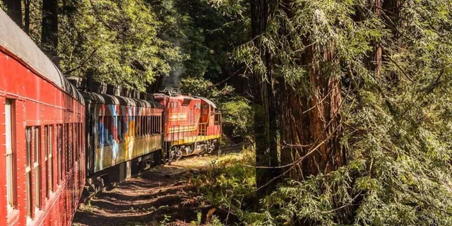 Fort Bragg Pudding Creek Train Ride - Image 1