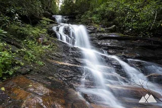 Bartram Trail Hike and Wine Tasting