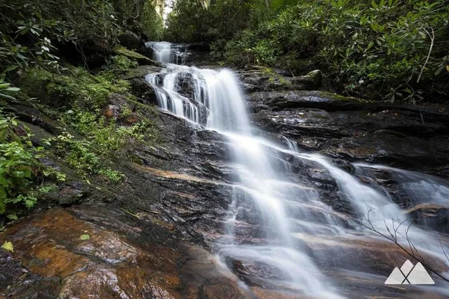 Bartram Trail Hike and Wine Tasting - Image 1